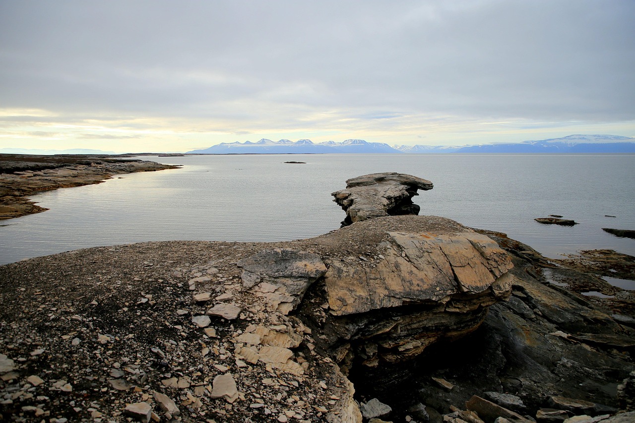 découvrez ce qu'est le permafrost, ses caractéristiques, son rôle dans le climat mondial et les enjeux liés à son dégel en raison du changement climatique.