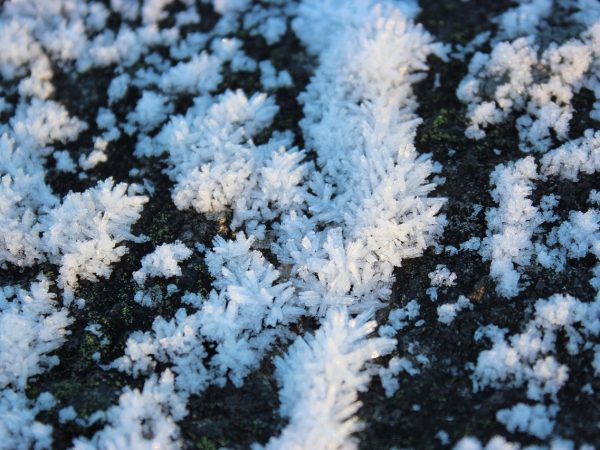 découvrez tout sur le permafrost : définition, formation, enjeux climatiques et impact sur l’environnement. comprenez les conséquences du dégel du permafrost et son influence sur le changement climatique.
