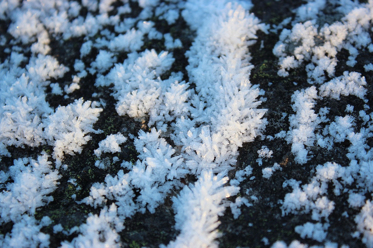 découvrez tout sur le permafrost : définition, formation, enjeux climatiques et impact sur l’environnement. comprenez les conséquences du dégel du permafrost et son influence sur le changement climatique.