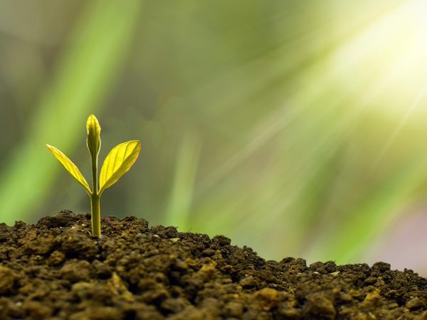 découvrez comment adopter des pratiques durables pour préserver l'environnement, favoriser le développement responsable et assurer un avenir meilleur grâce à la sustainability.