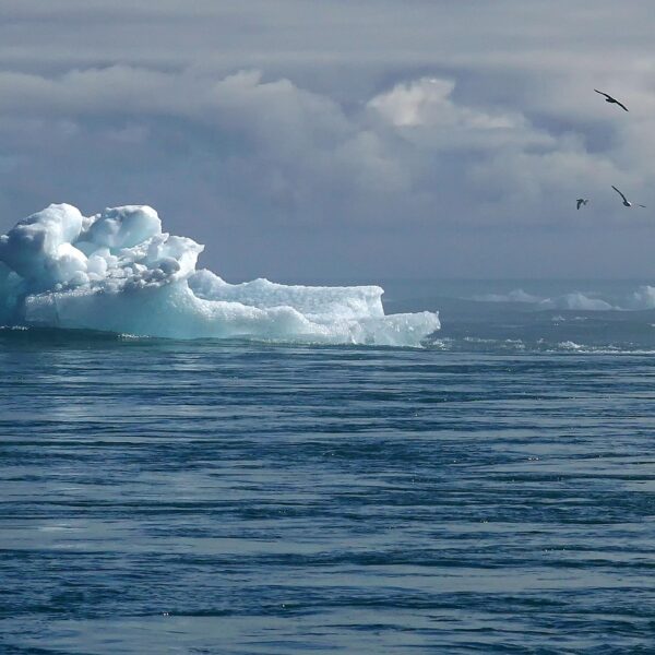 découvrez les causes, impacts et solutions du changement climatique. informez-vous sur les enjeux environnementaux et les actions à adopter pour préserver notre planète.