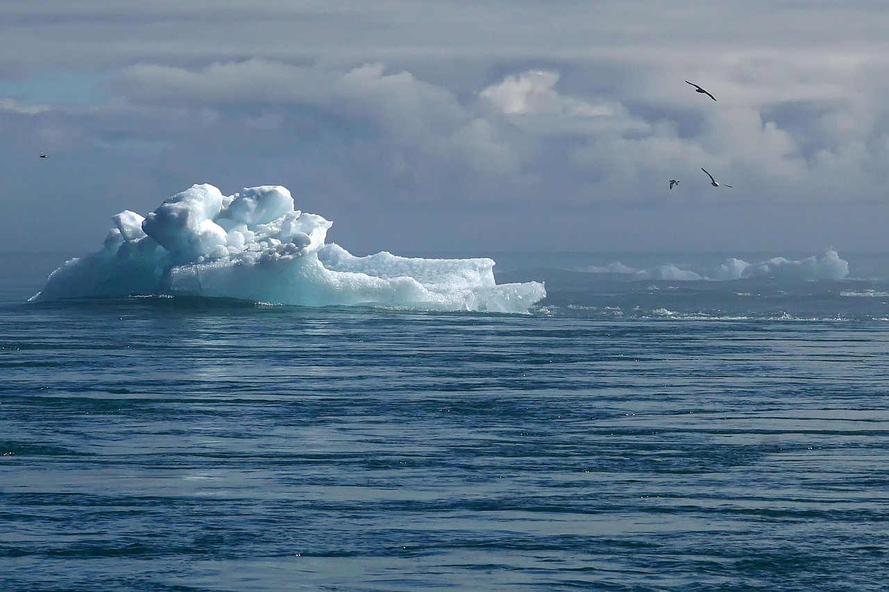 découvrez les causes, impacts et solutions du changement climatique. informez-vous sur les enjeux environnementaux et les actions à adopter pour préserver notre planète.