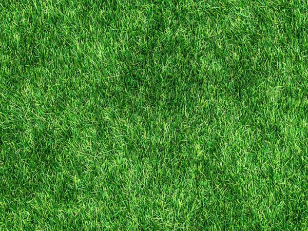 découvrez l'eco repair score, un indicateur essentiel pour évaluer la réparabilité et l'impact écologique des produits électroniques. profitez de conseils pour choisir des appareils durables et facilement réparables.
