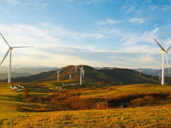 découvrez comment adopter un mode de vie durable grâce à des conseils pratiques, des astuces écologiques et des ressources pour un avenir plus respectueux de l’environnement.