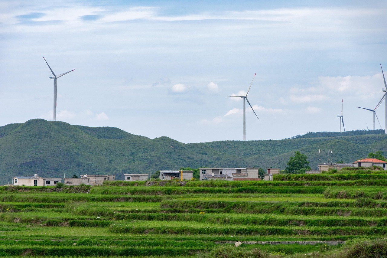 découvrez le développement durable : principes, enjeux et solutions pour préserver l'environnement, améliorer le bien-être social et encourager une croissance économique responsable pour les générations futures.