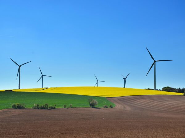 découvrez les principes du développement durable, ses enjeux et solutions pour un avenir équilibré entre protection de l'environnement, croissance économique et responsabilité sociale.