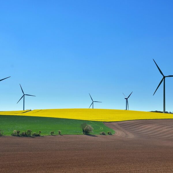 découvrez les principes du développement durable, ses enjeux et solutions pour un avenir équilibré entre protection de l'environnement, croissance économique et responsabilité sociale.