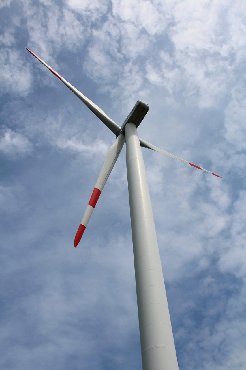 découvrez comment l'écological transition permet de limiter l'impact environnemental, de favoriser les énergies renouvelables et d'adopter des modes de vie plus durables pour un avenir respectueux de la planète.