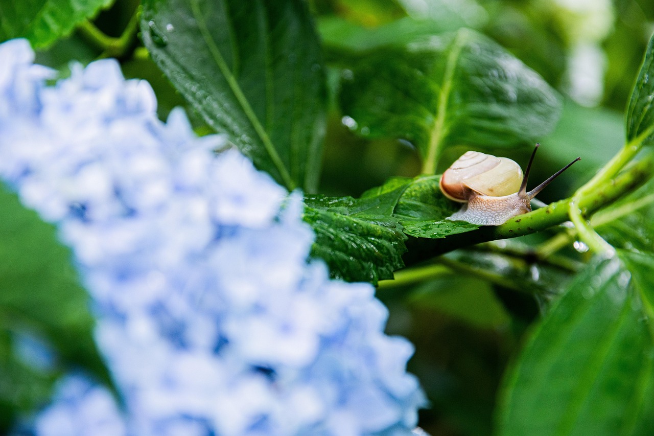 découvrez le concept de green it : des technologies informatiques durables et écoresponsables pour réduire l'impact environnemental tout en optimisant la performance.