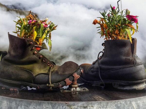 découvrez comment le green it révolutionne l'informatique en réduisant l'impact environnemental grâce à des technologies durables et éco-responsables.