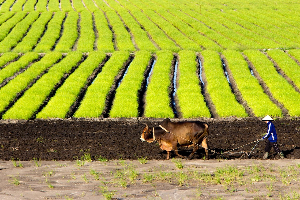 découvrez le concept des limites planétaires, un cadre scientifique définissant les seuils environnementaux à ne pas dépasser pour préserver la stabilité de la terre.