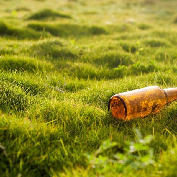 découvrez l'impact de la pollution liée au chauffage au bois et les solutions pour un usage plus écologique et sain.