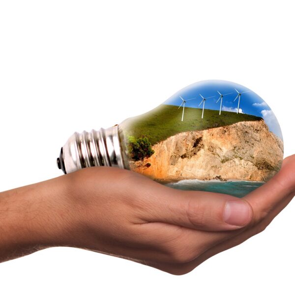 d&eacute;couvrez les enjeux et solutions de la transition &eacute;cologique pour un avenir durable et respectueux de l'environnement.