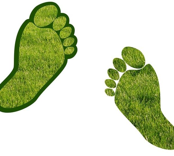 d&eacute;couvrez ce qu'est l'empreinte carbone, comment la mesurer et des conseils pratiques pour la r&eacute;duire afin de prot&eacute;ger notre plan&egrave;te.