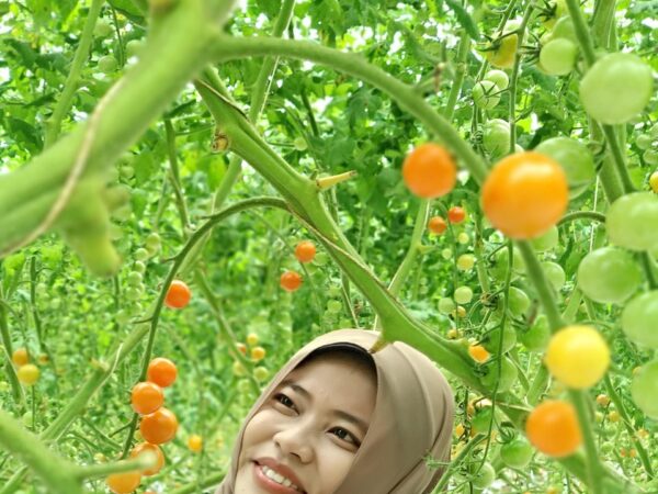 d&eacute;couvrez les secrets du jardinage urbain biologique pour cultiver vos propres l&eacute;gumes et herbes aromatiques en milieu citadin, de mani&egrave;re &eacute;cologique et saine.